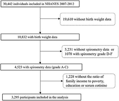 Non-linear association of birth weight with lung function and risk of asthma: A population-based study